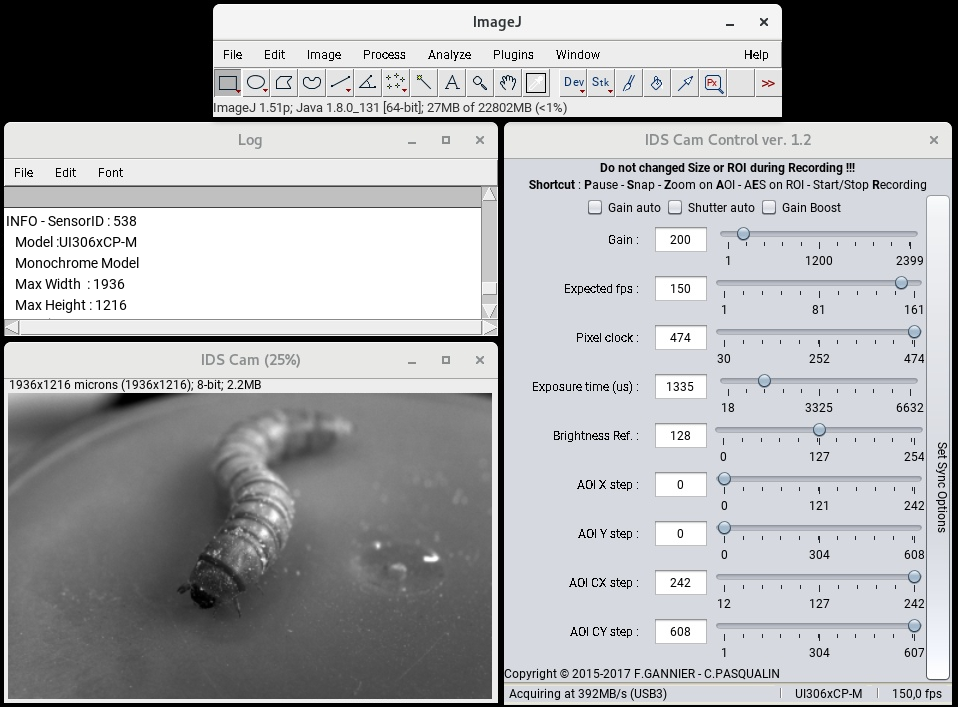 imagej download windows 10